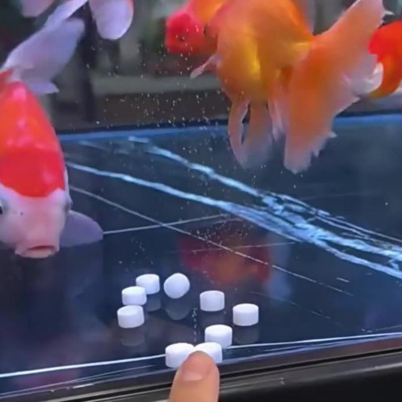 Aquarium Water Purification Ta - Water Purification Tablet avis et prix