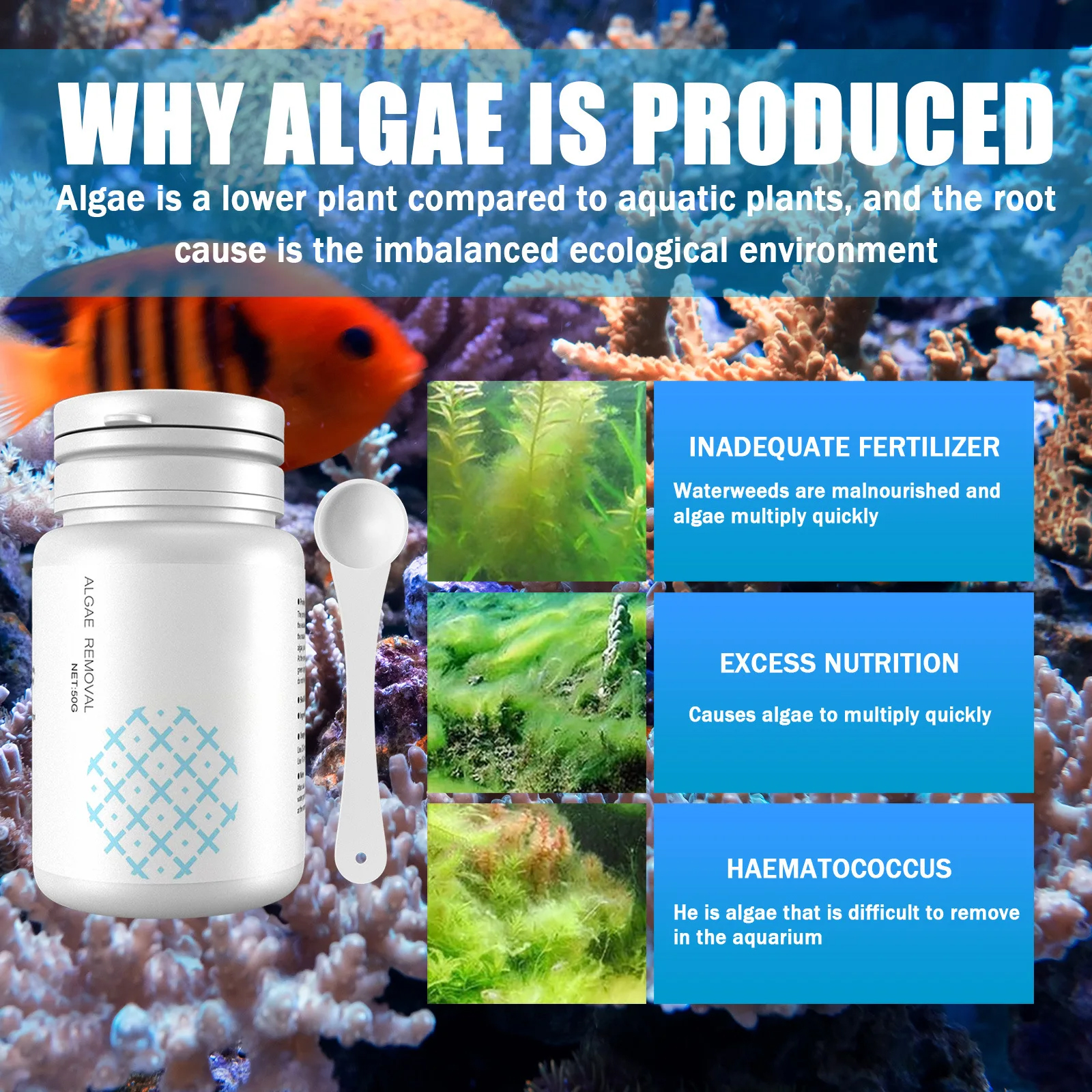 Algae Control Tablets for Aqua - Water Purification Tablet avis et prix