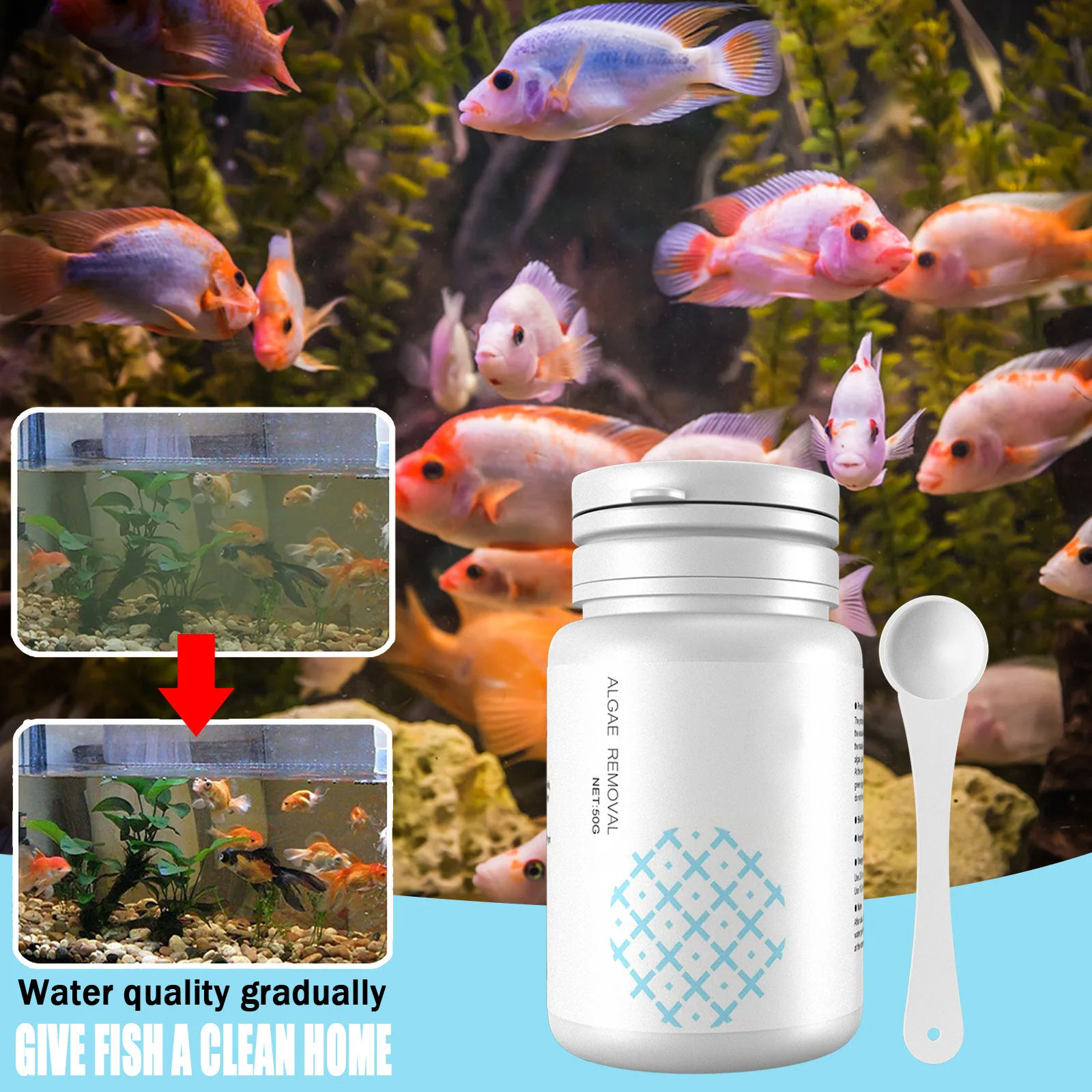 Algae Control Tablets for Aqua - Water Purification Tablet avis et prix