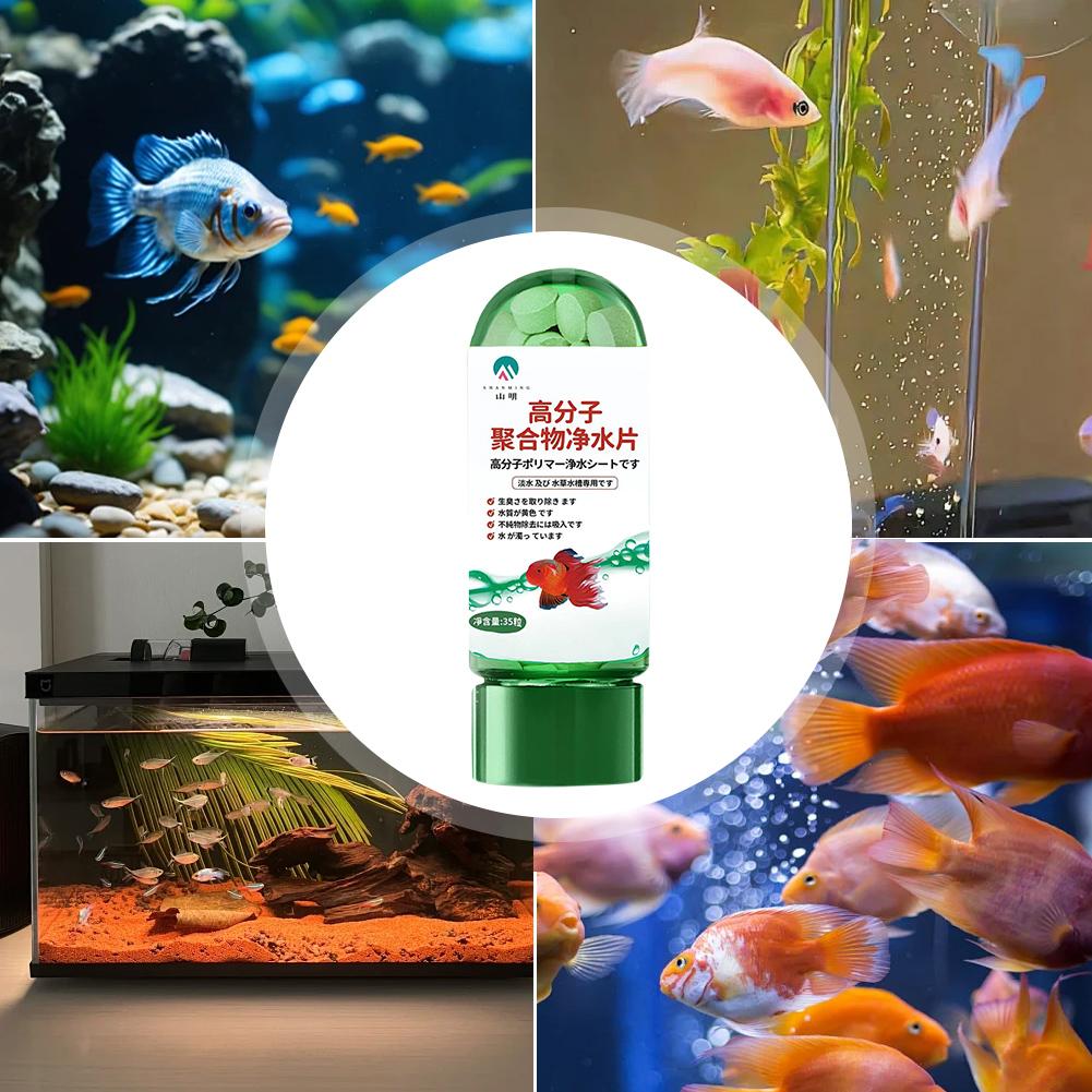 Water Purification Tablets Eco - Water Purification Tablet avis et prix