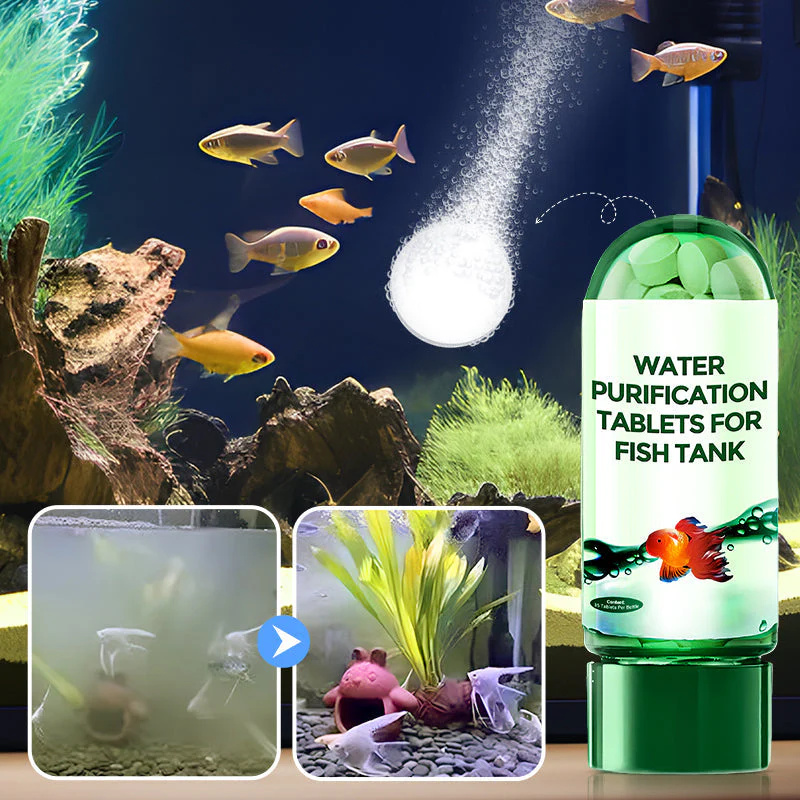 Water Purification Tablets Eco - Water Purification Tablet avis et prix