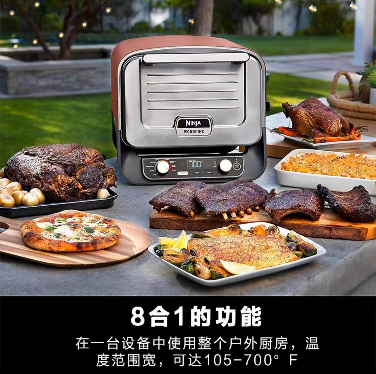 2026 Outdoor Pizza Oven for El - Camping Cooking avis et prix
