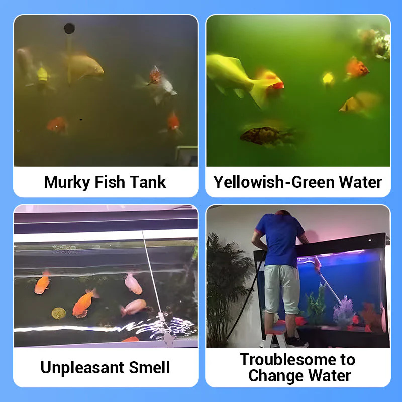 Eco-Friendly Aquarium Water Pu - Water Purification Tablet avis et prix