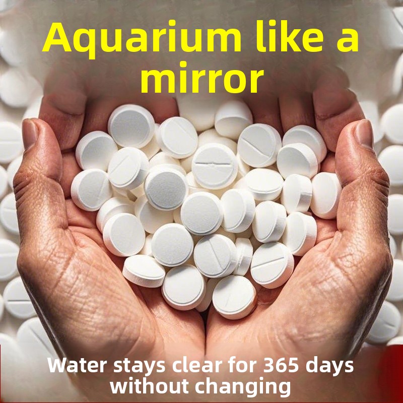 Advanced Water Purification Ta - Water Purification Tablet avis et prix