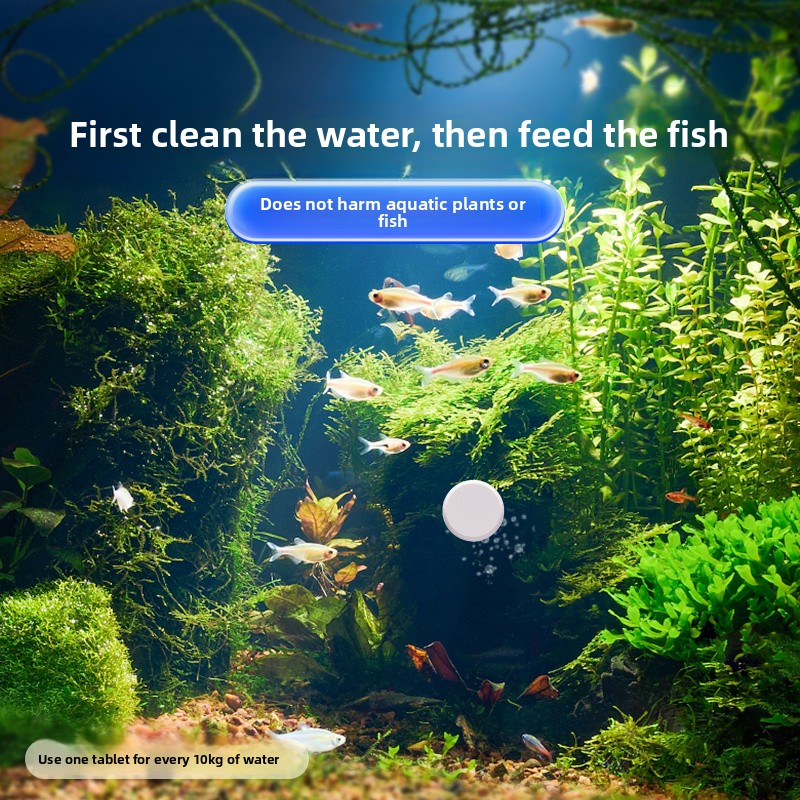Advanced Water Purification Ta - Water Purification Tablet avis et prix