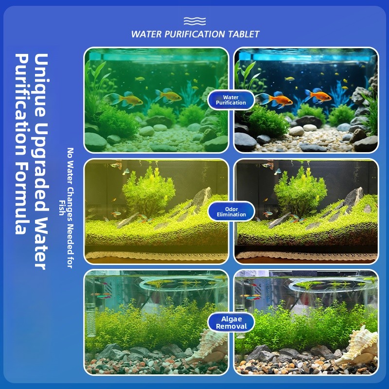 Advanced Water Purification Ta - Water Purification Tablet avis et prix